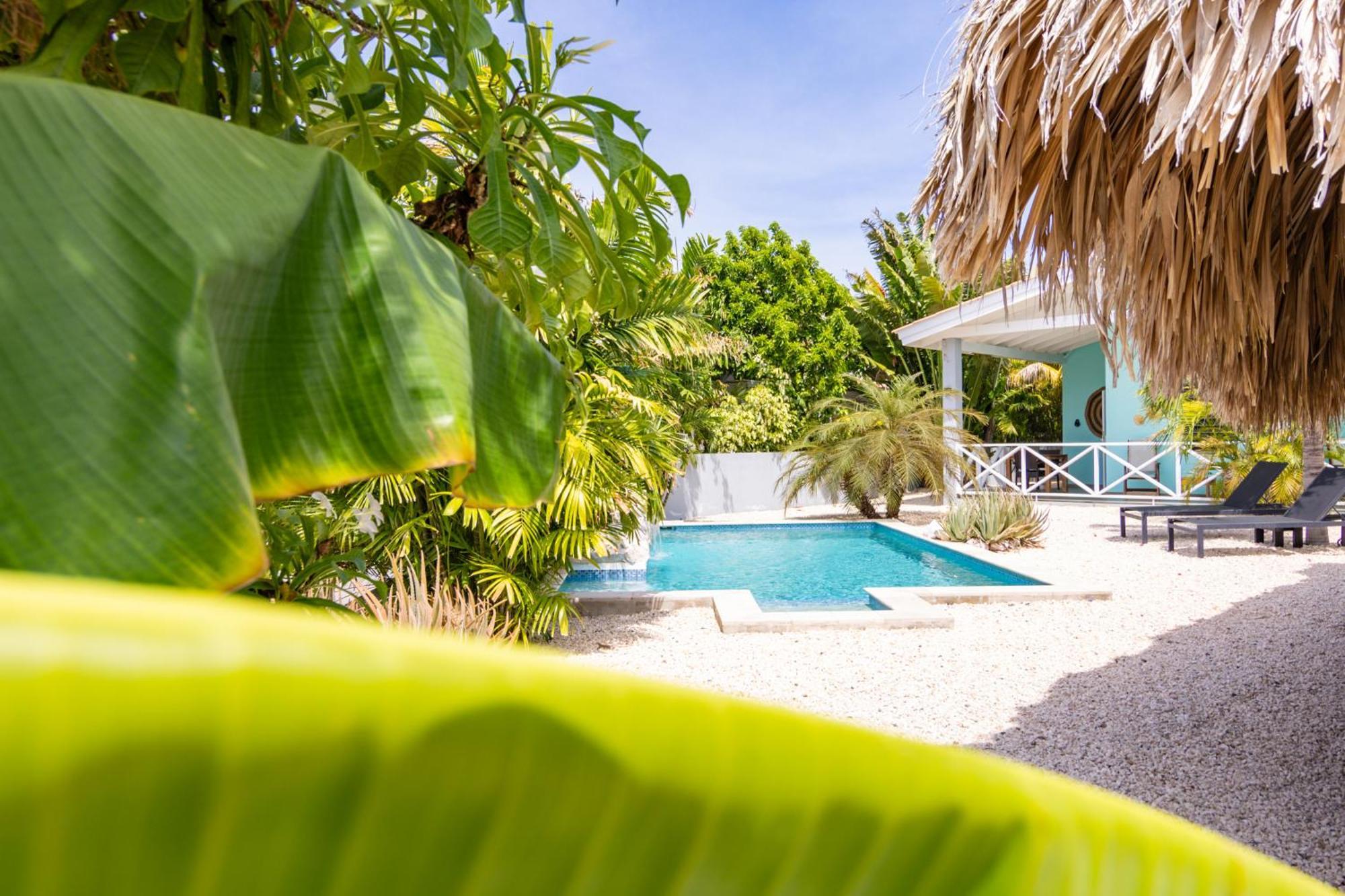 Paradise Apartments - Curacao Fontein المظهر الخارجي الصورة